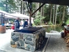 Juneau Historic Gold Panning and Salmon Bake Combo Excursion Salmon was AWESOME!