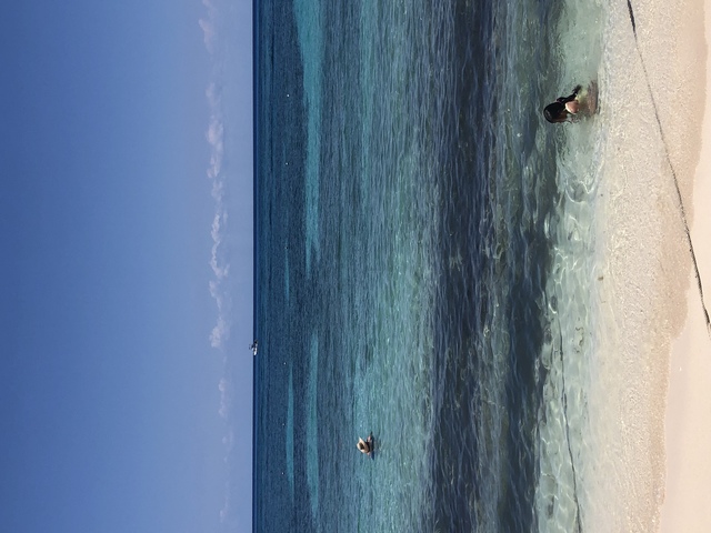 Mr. Sanchos Beach All Inclusive Day Pass Cozumel Fun in the sun!