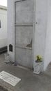 New Orleans Cemetery and Voodoo Excursion Voodoo 2019