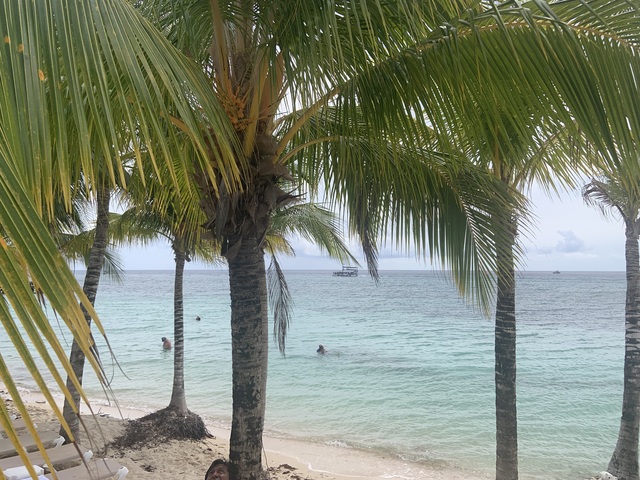  Occidental Cozumel Beach Resort Day Pass Excursion Not the best