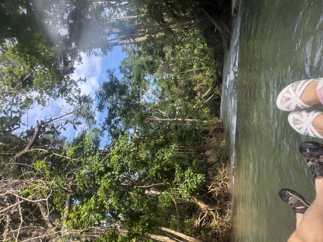 Ocho Rios Famous Dunn's River Falls and White River Tubing Excursion This is not a complaint, worked for us 