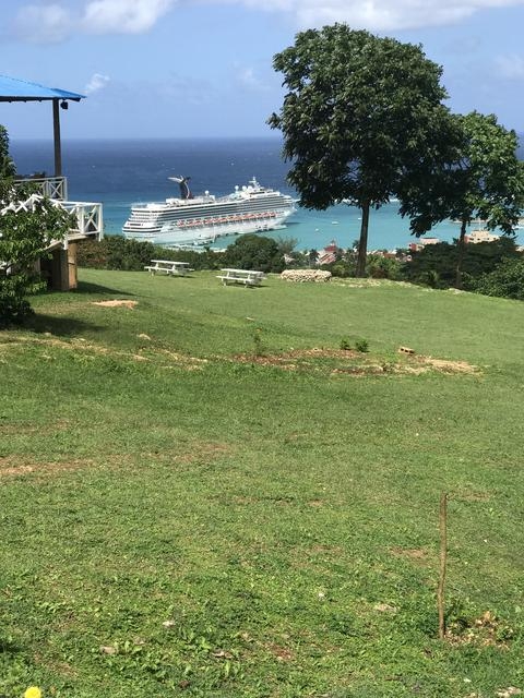 Ocho Rios Highlights, Shopping and Dunn's River Falls and Jamaican Lunch Excursion Loved It!!