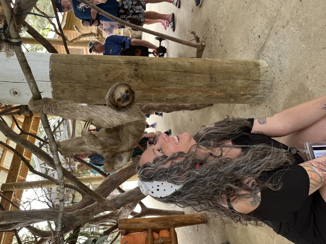 Roatan ATV Off-Road Adventure, Monkey and Sloth Hangout Excursion Loved