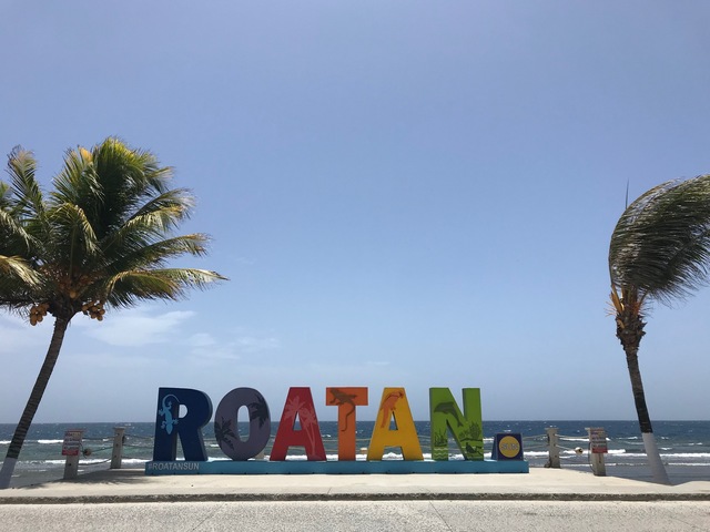 Roatan City Highlights, Monkey and Sloth Hangout, Snorkel and Beach Break Excursion More than what I expected!