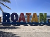 Roatan City Highlights, Monkey and Sloths, Snorkel, and Beach Excursion Best Excursion Ever!!!