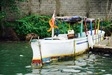 Roatan East End Sightseeing, Mangroves, Iguana Farm, and Coral Reef Snorkeling Excursion Real life on Roatan