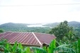 Roatan East End Sightseeing, Mangroves, Iguana Farm, and Coral Reef Snorkeling Excursion Real life on Roatan