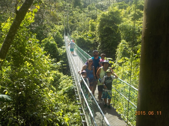 Roatan Eco Walkways, Treetop Suspension Bridges, and Zip Line Adventure Excursion Great Family Adventure
