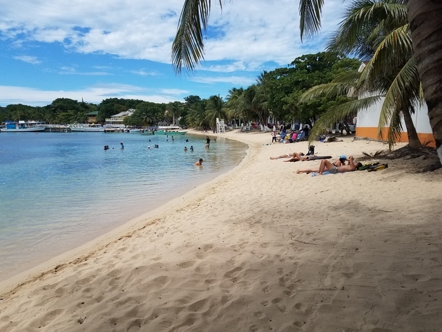 Roatan Hop On Hop Off Bus Highlights and Beach Break Excursion This tour was great!