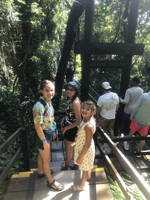 Roatan Jungle Eco Walkway, Treetop Suspension Bridges and Beach Break Excursion Great excursion!