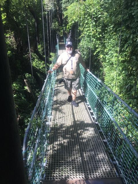 Roatan Jungle Eco Walkway, Treetop Suspension Bridges, and Beach Break Excursion Great excursion!