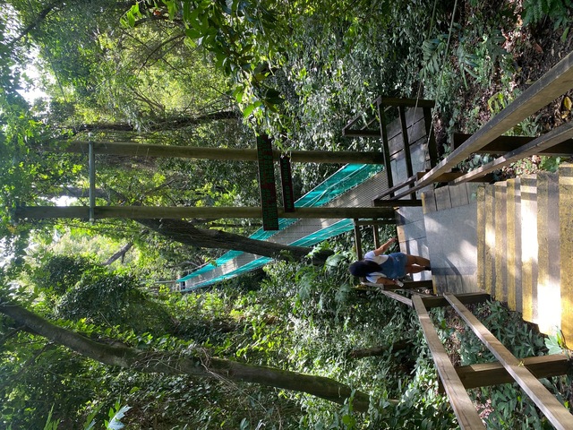 Roatan Jungle Eco Walkway, Treetop Suspension Bridges, and Beach Break Excursion We really enjoyed this