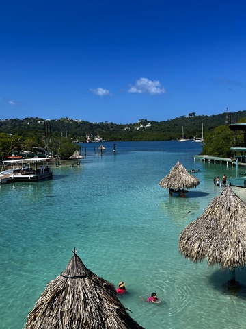 Roatan Little French Key Full Island Day Pass Excursion Beautiful experience! 