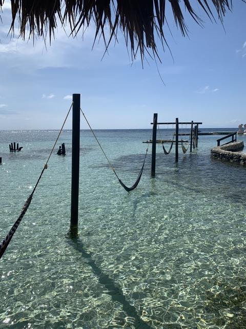 Roatan Little French Key Full Island Day Pass Excursion Absolutely loved!