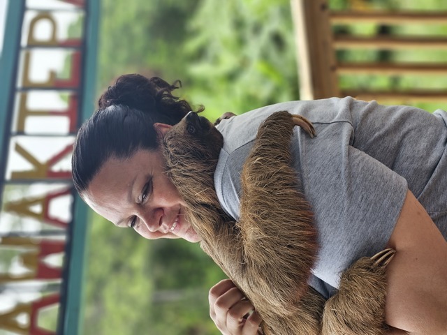 Roatan Private Chocolate Rum Cake Factory, Sightseeing, Monkey and Sloth, and Beach Excursion Bad weather-Fantastic Day