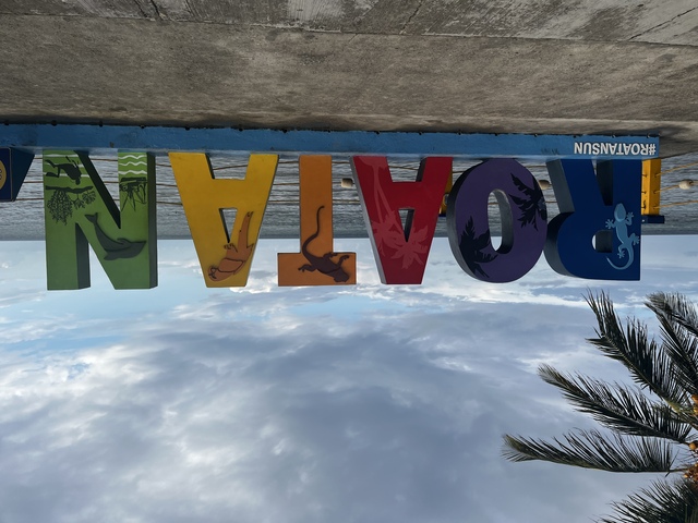 Roatan Private Chocolate Rum Cake Factory, Sightseeing, Monkey and Sloth, and Beach Excursion Canâ€™t wait to return! Roatan has our heart!
