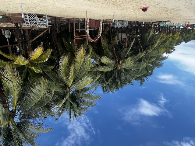 Roatan Private Chocolate Rum Cake Factory, Sightseeing, Monkey and Sloth, and Beach Excursion Canâ€™t wait to return! Roatan has our heart!
