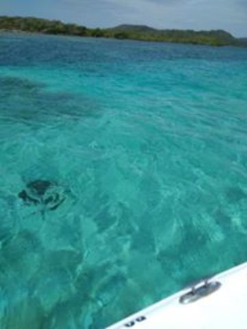 Roatan Private Customized Boat Charter Excursion Best Excursion