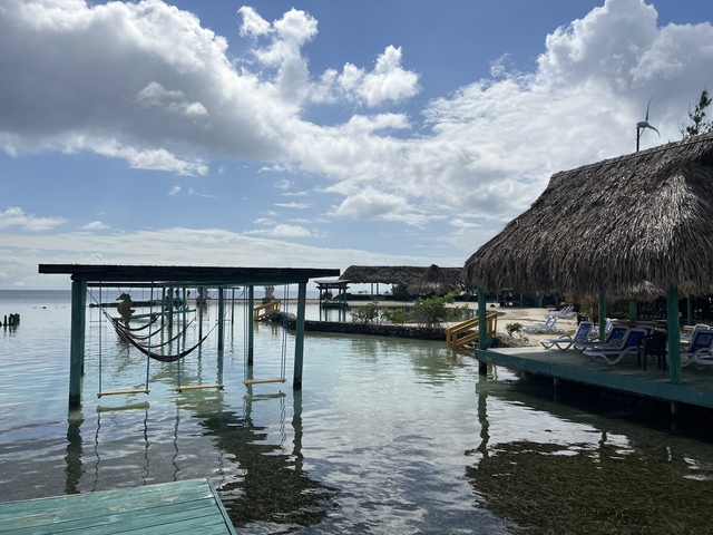 Roatan Relaxed Drift Snorkel, Monkey and Sloth Hangout, and Beach Excursion Best Day