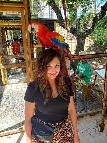 Roatan Southside Reef Snorkel, Monkey / Sloth Park Excursion So much fun!