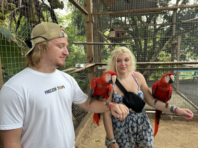 Roatan Southside Reef Snorkel, Monkey / Sloth Park Excursion So Fun