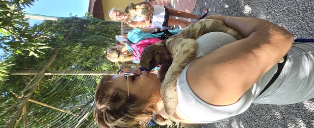 Roatan Southside Reef Snorkel, Monkey / Sloth Park Excursion What an Incredible Day!!