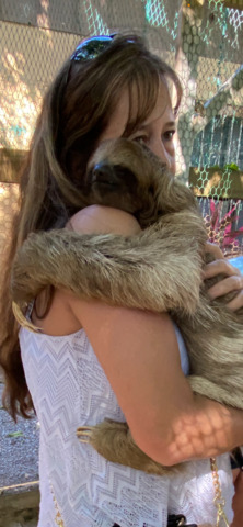 Roatan Southside Reef Snorkel, Monkey / Sloth Park Excursion Excursion was above & beyond what we expected!