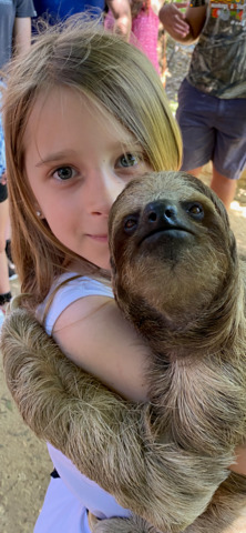 Roatan Southside Reef Snorkel, Monkey / Sloth Park Excursion Excursion was above & beyond what we expected!