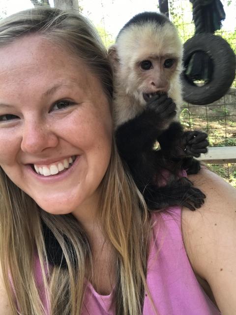 Roatan Southside Reef Snorkel, Monkey / Sloth Park Excursion MY FAV EXCURSION! 