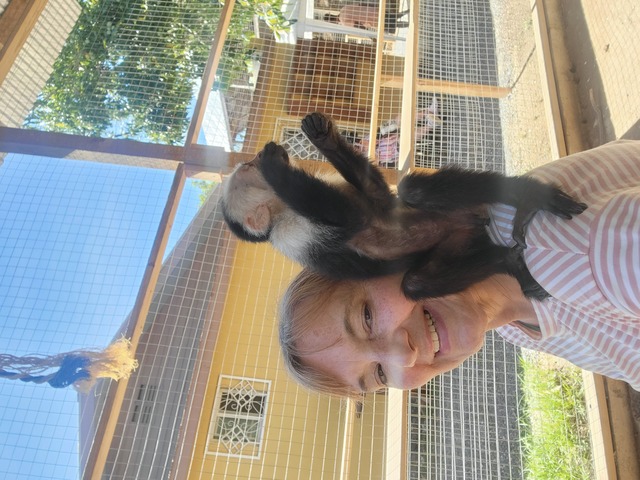 Roatan Southside Reef Snorkel, Monkey / Sloth Park Excursion Best experience EVER!!