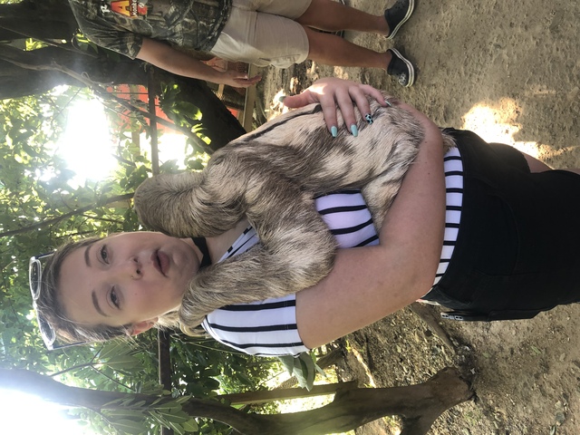 Roatan Southside Reef Snorkel, Monkey / Sloth Park Excursion The absolute best excursion ever