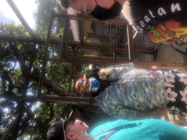 Roatan Southside Reef Snorkel, Monkey / Sloth Park Excursion The absolute best excursion ever