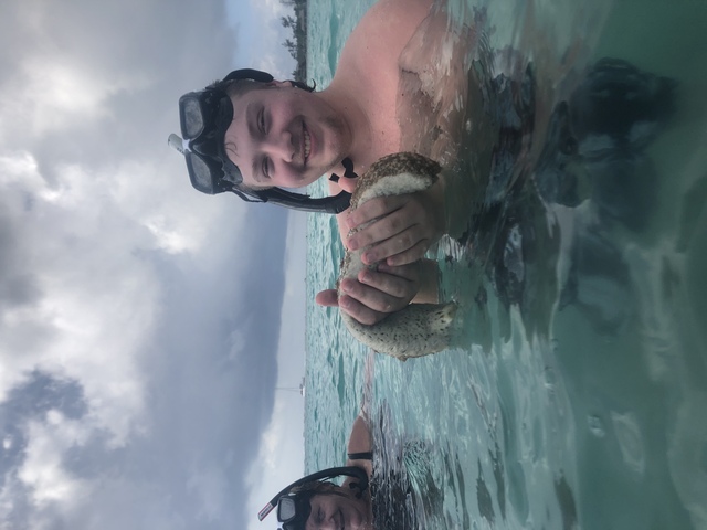 Roatan Southside Reef Snorkel, Monkey / Sloth Park Excursion The absolute best excursion ever