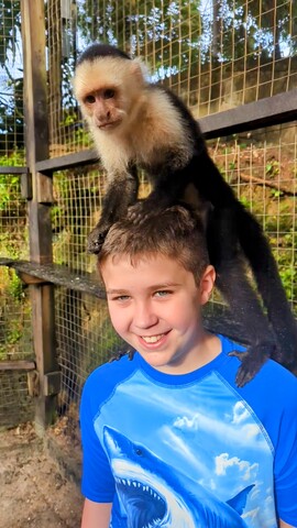 Roatan Southside Reef Snorkel, Monkey / Sloth Park Excursion So much fun!