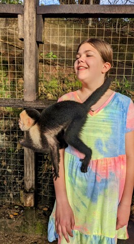 Roatan Southside Reef Snorkel, Monkey / Sloth Park Excursion So much fun!