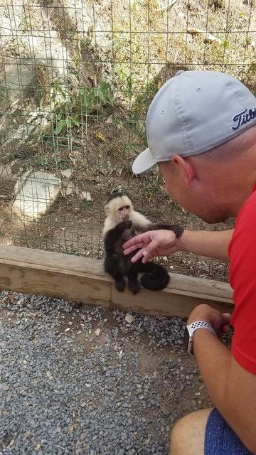 Roatan Southside Snorkel, Monkey and Sloth Park Excursion Best Excursion!!!