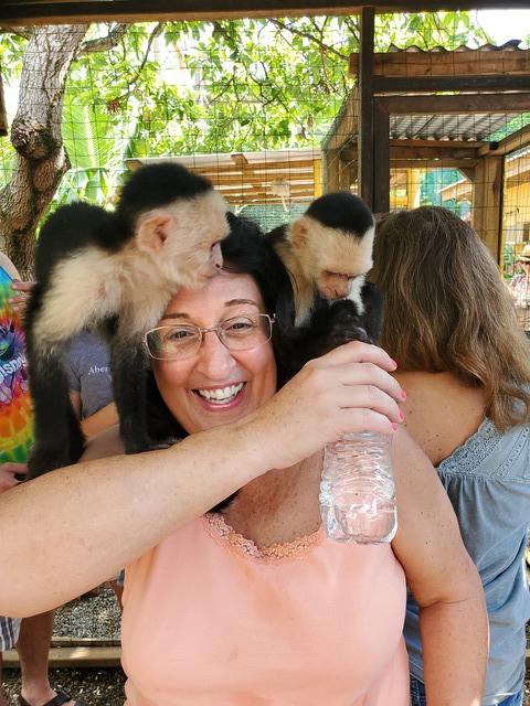 Roatan Southside Snorkel, Monkey and Sloth Park Excursion Highlight of our trip!