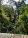 Roatan Zipline, Monkey and Sloth Hangout, Snorkel, and Beach Excursion Best Excursion of our Trip