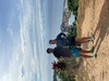 Roatan Zipline Park, Monkey/Sloth Sanctuary, Reef Snorkel, and Beach Excursion Combo Loved it, lots of fun!