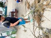 Roatan Zipline Park, Monkey/Sloth Sanctuary, Reef Snorkel, and Beach Excursion Combo Loved it, lots of fun!