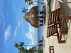 Roatan Zipline Park, Monkey/Sloth Sanctuary, Reef Snorkel, and Beach Excursion Combo Loved it, lots of fun!