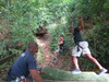 Roatan Zipline Park, Monkey/Sloth Sanctuary, Reef Snorkel, and Beach Excursion Combo Best Family Adventures in Roatan!!