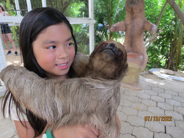 Roatan Zipline Park, Monkey/Sloth Sanctuary, Reef Snorkel, and Beach Excursion Combo Best Family Adventures in Roatan!!