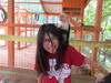 Roatan Zipline Park, Monkey/Sloth Sanctuary, Reef Snorkel, and Beach Excursion Combo Best Family Adventures in Roatan!!