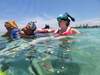Roatan Zipline Park, Monkey/Sloth Sanctuary, Reef Snorkel, and Beach Excursion Combo Ask for Monique