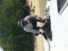 St. John's Antigua Around the Island Speedboat and Stingray City Excursion A total blast!
