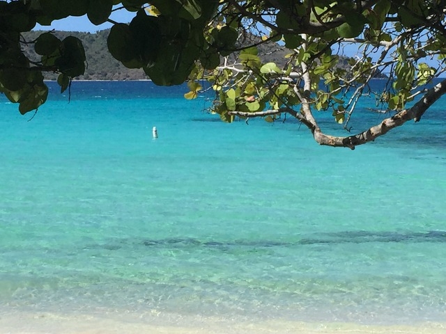 St. Thomas Deluxe Private Island Sightseeing Excursion The Best Private Tour Combination on St. Thomas: