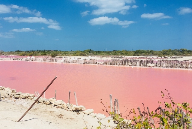 Xcambo Mayan Ruins, Flamingos, Pink Lagoon, and Beach Break Combo Excursion from Progreso Donâ€™t miss this excursion! 