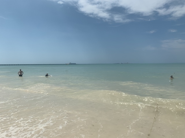 Xcambo Mayan Ruins, Flamingos, Pink Lagoon, and Beach Break Combo Excursion from Progreso Pink lagoon was my favorite!
