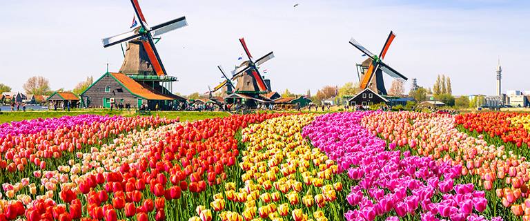 Amsterdam Excursions